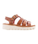Tan Rustic